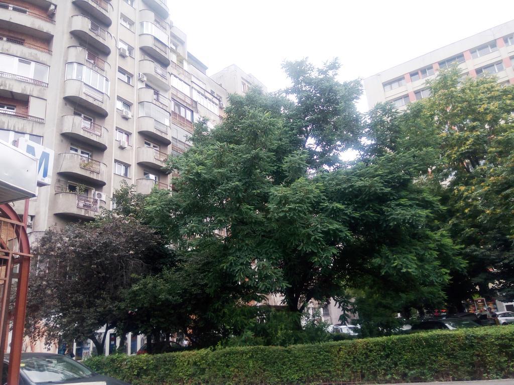 Apartament Dana Bucharest Exterior photo