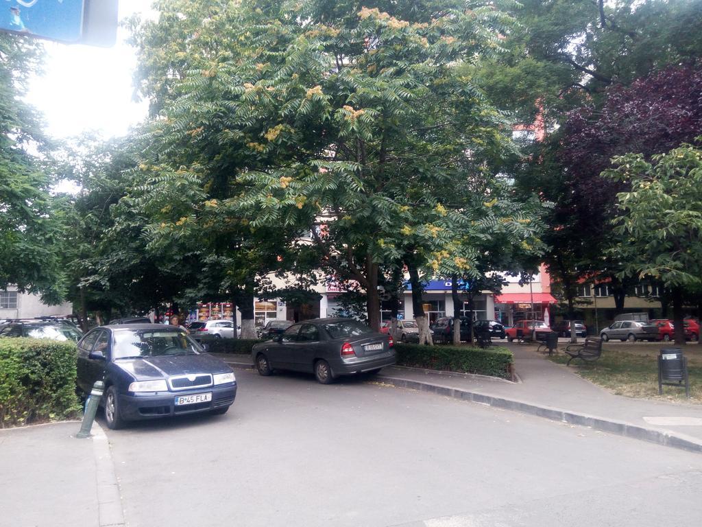 Apartament Dana Bucharest Exterior photo